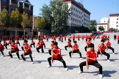 嵩山少林武術(shù)學院